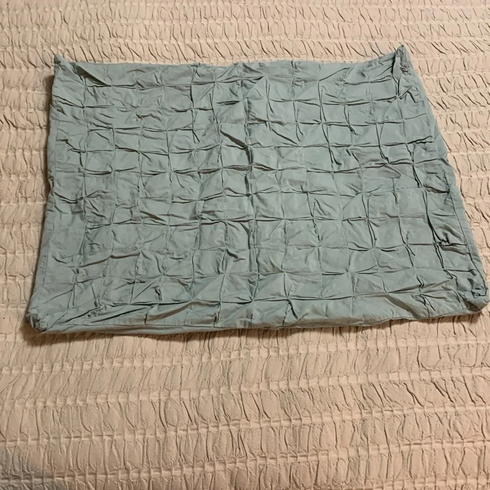 West Elm Puffed/Quilted Standard Size Cotton Sage Sham/ Pillowcases 2